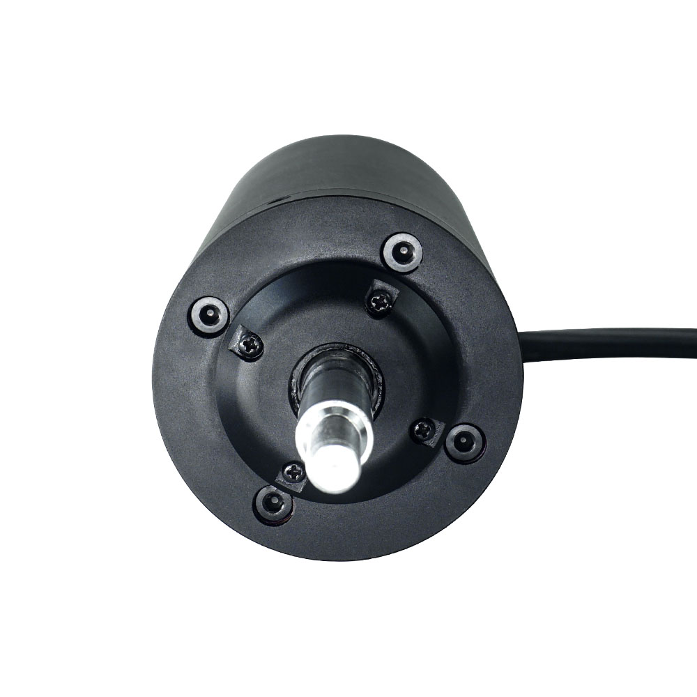 Flipsky 65161 Brushless Motor  - Efoil Remote Control Waterproof ulasan dan harga