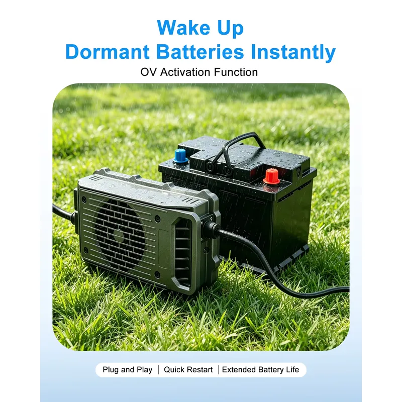 LNLEE LN1500W 48V 25A Lightwei - Electric Surfboard Battery Charger ulasan dan harga